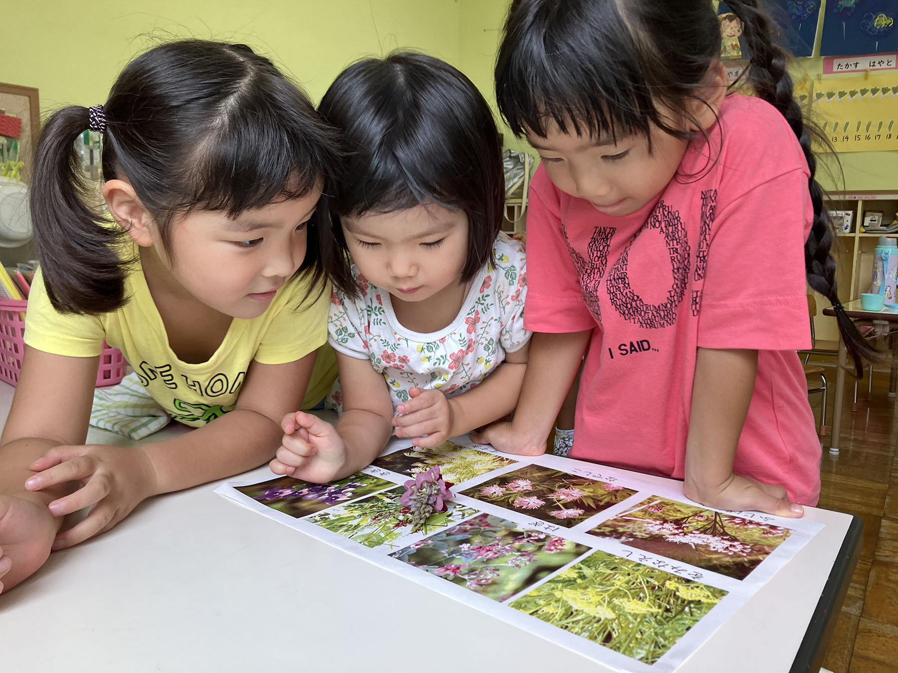 p3_秋の七草調べ