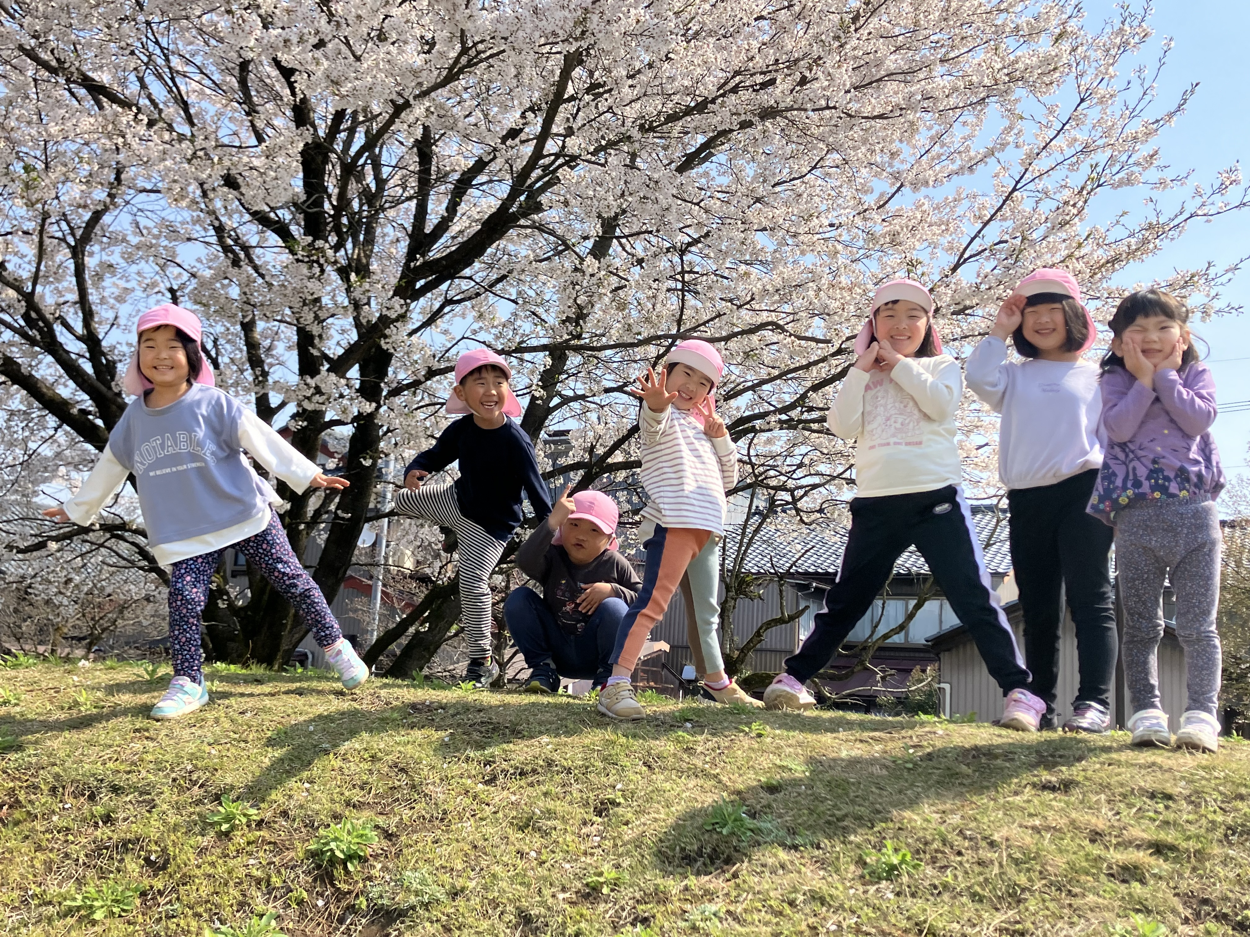 ①先週と今週は天気の良い日は外へ！桜をたくさん見てきました。