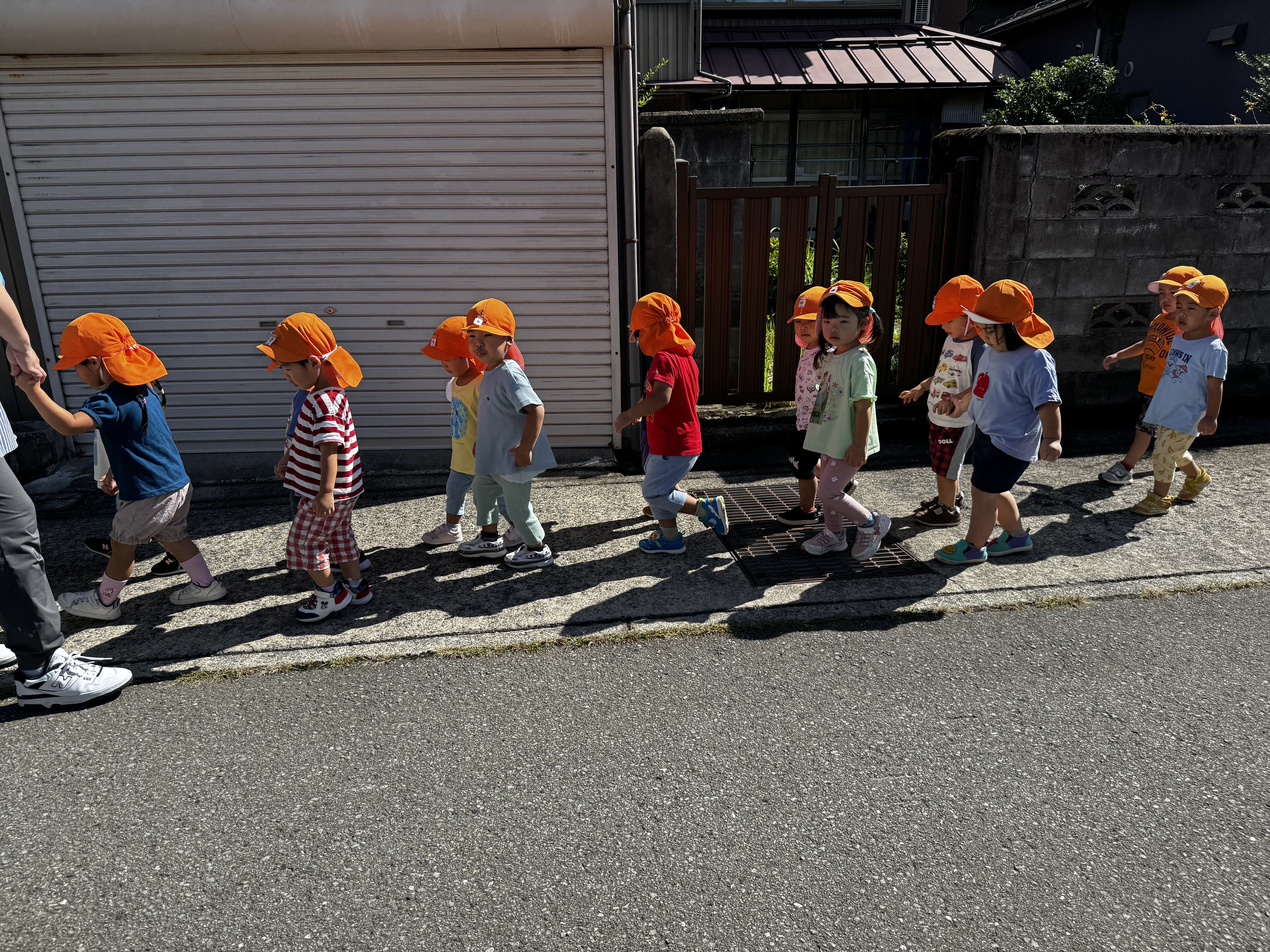 手を繋いで歩く練習を始めました。お友達の後ろについて、列になって…少しずつ上達し、散歩ロープなしでも長距離を歩けるようになってきました☆