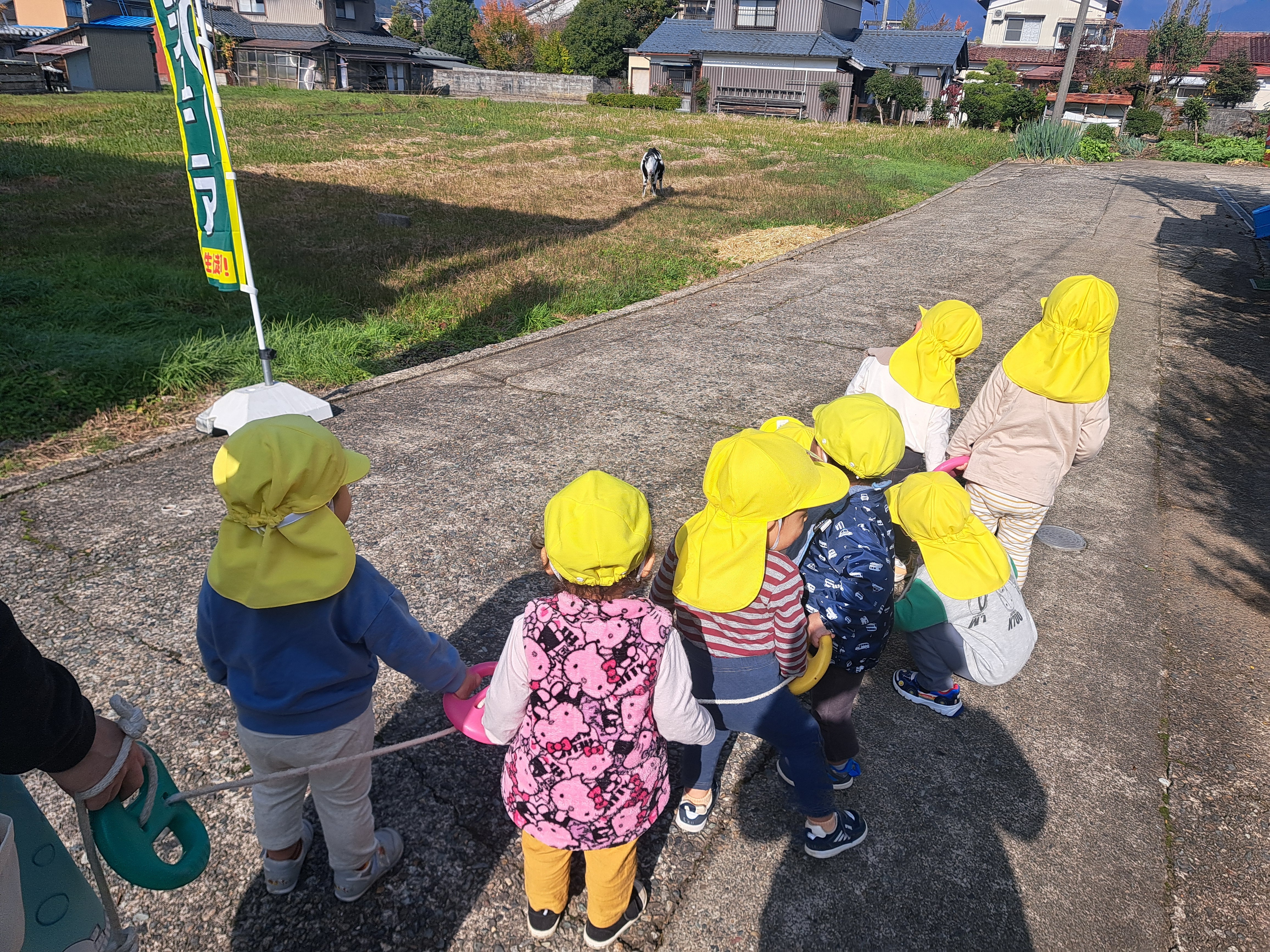 やぎさんこんにちわ、こっちおいで～