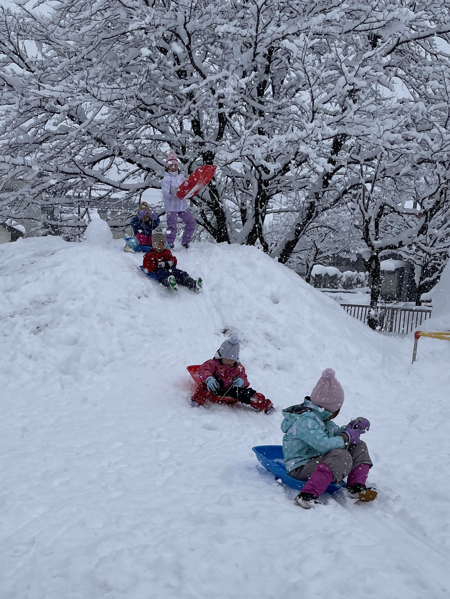 雪が降り続ける中、楽しんでいました。