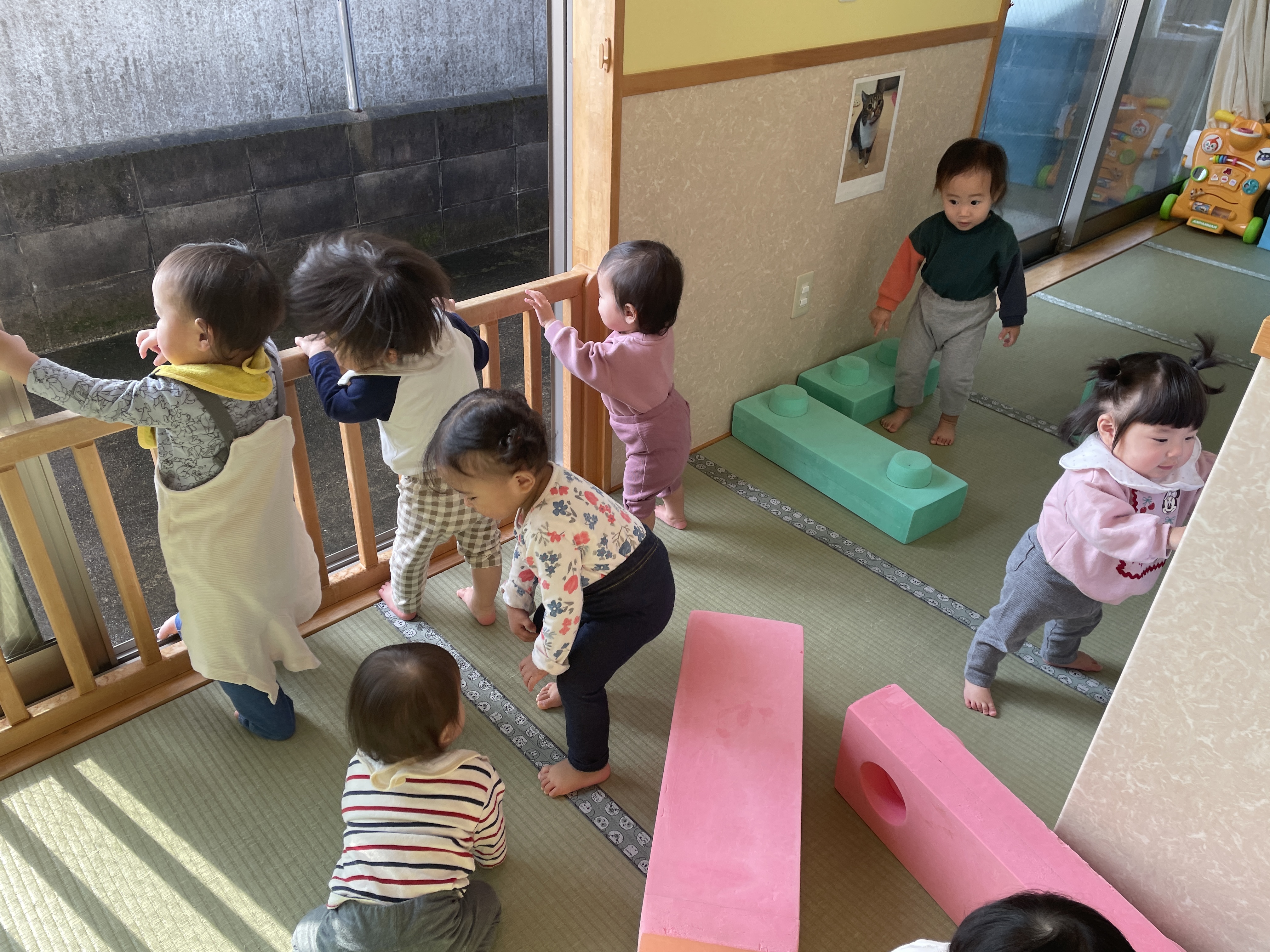 さくら　1　お外の風、冷たいね～。どれどれ？？